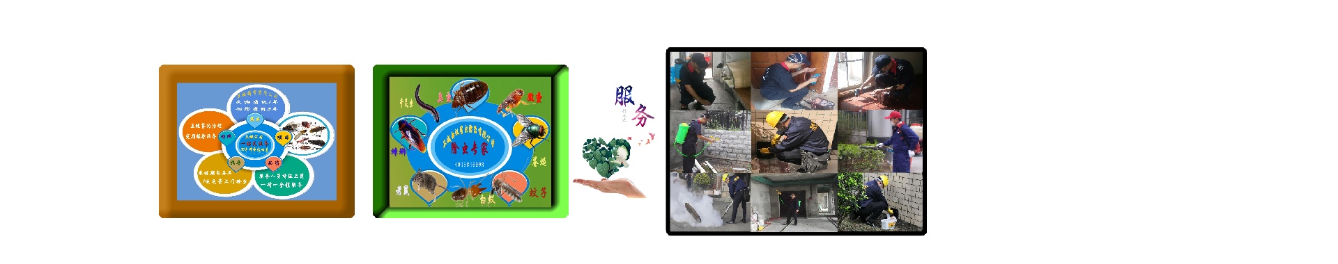 惠城杀虫公司