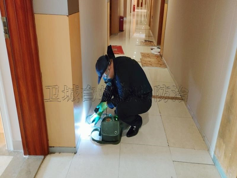 海珠区白蚁防治中心丨广州海珠灭白蚁公司彻底消杀白蚁专家