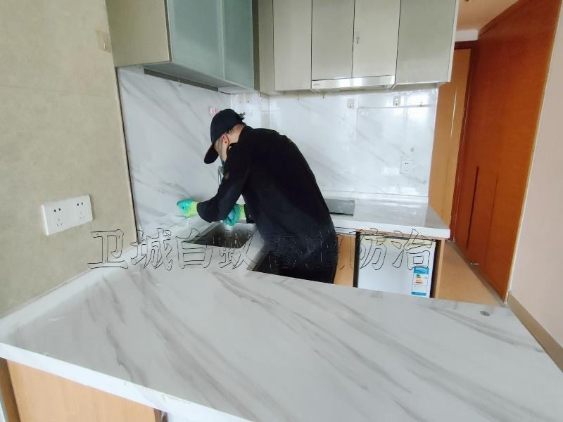 天河区龙洞白蚁防治,广州市天河龙洞灭白蚁公司