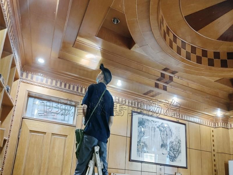 天河区前进白蚁防治,广州市天河前进灭白蚁公司