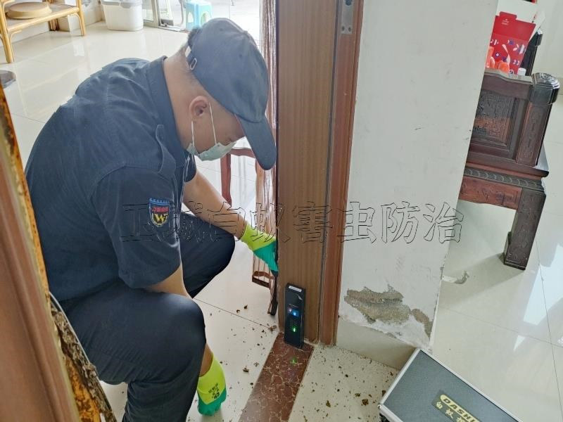 惠东县白蚁防治中心电话-惠州惠城灭白蚁消杀白蚁防治需结合多种手段协同作战