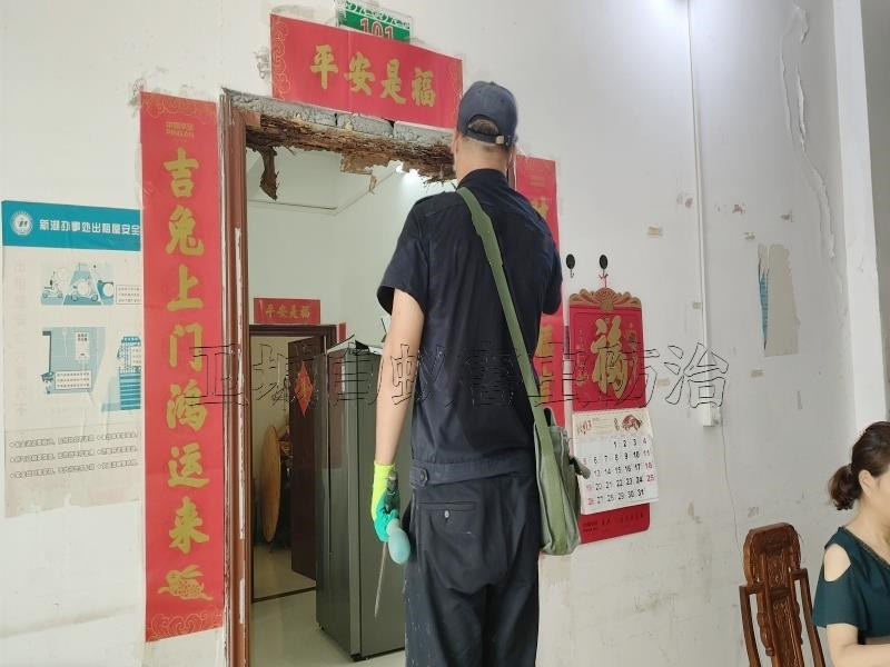 黄埔区鱼珠白蚁防治中心,广州市鱼珠灭治白蚁除杀白蚁公司
