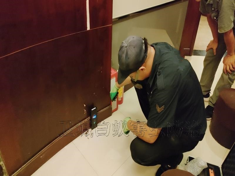 荔湾区桥中白蚁防治中心,广州市荔湾桥中消杀白蚁防治