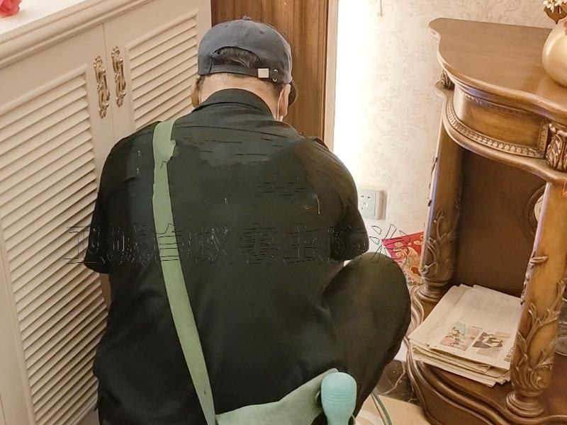 福田区华富白蚁防治中心,深圳福田华富灭白蚁公司