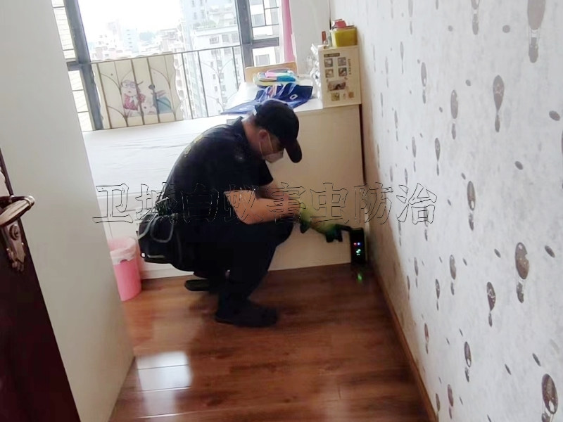东莞南城灭白蚁公司,东莞市南城白蚁防治中心,东莞南城白蚁防治