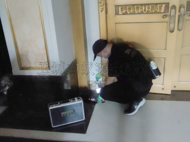 东莞石碣白蚁防治中心,石碣灭白蚁公司,石碣白蚁防治