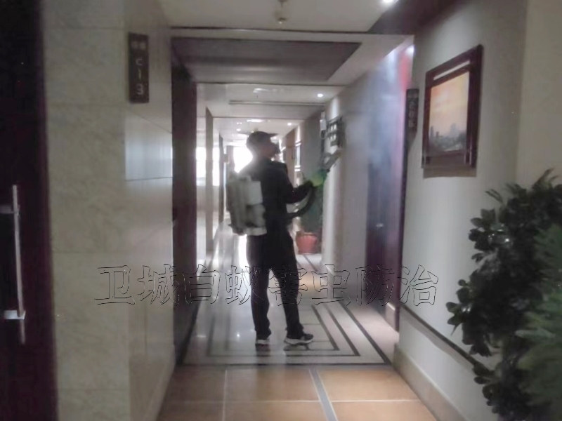 东莞清溪消杀所公司_清溪杀虫公司_清溪杀臭公司灭蟑螂跳蚤灭治方案