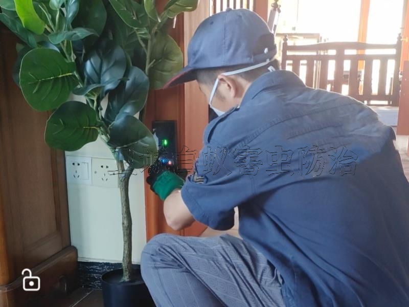 惠州白蚁防治公司选择卫城惠州白蚁害虫防治有限公司