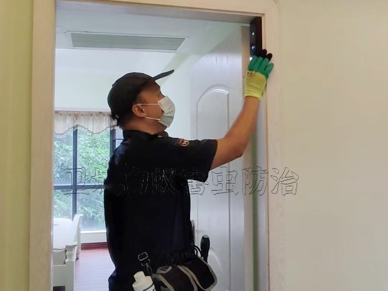 博罗石湾白蚁防治中心，石湾灭除白蚁