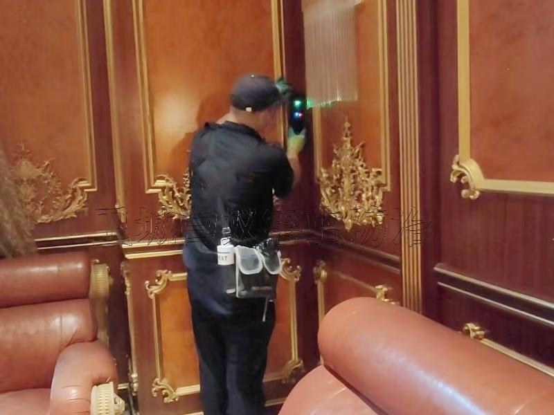 惠州白蚁防治杀白蚁公司