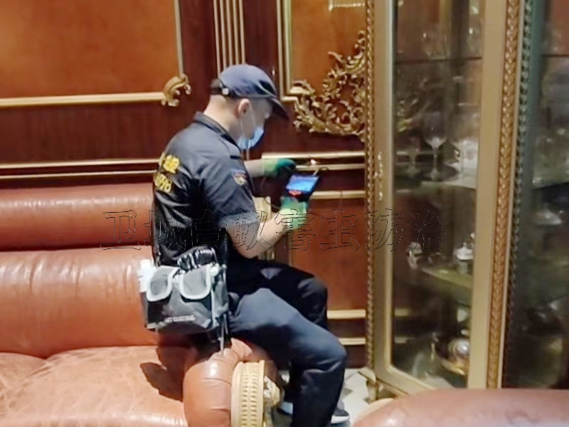 石碣白蚁防治-灭白蚁公司(卫城一对一全程服务)