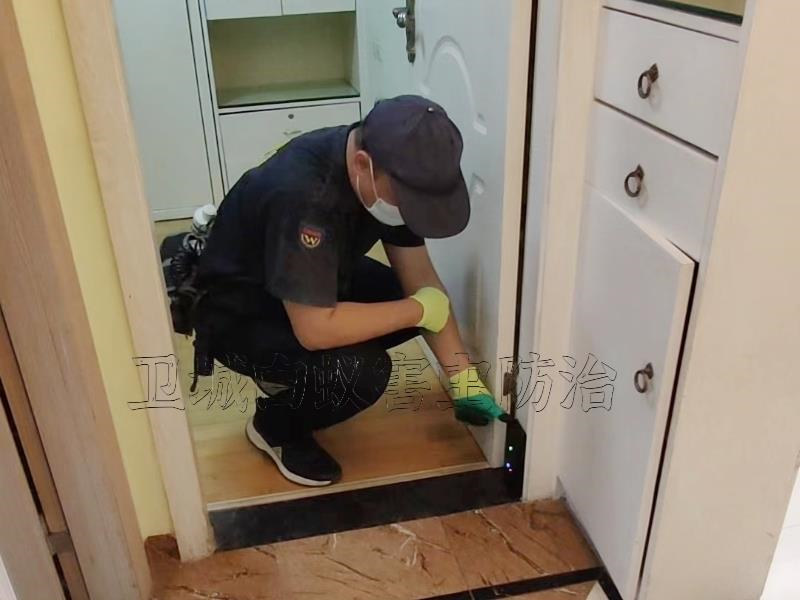 寮步白蚁防治中心,寮步白蚁防治所{卫城公司一对一专注服务}