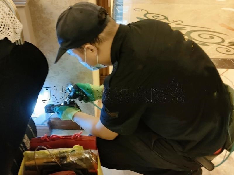 广州南沙白蚁防治中心,南沙消杀白蚁公司