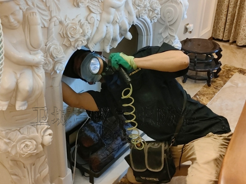 白云区白蚁防治,白蚁区灭白蚁公司卫城一对一服务跟进