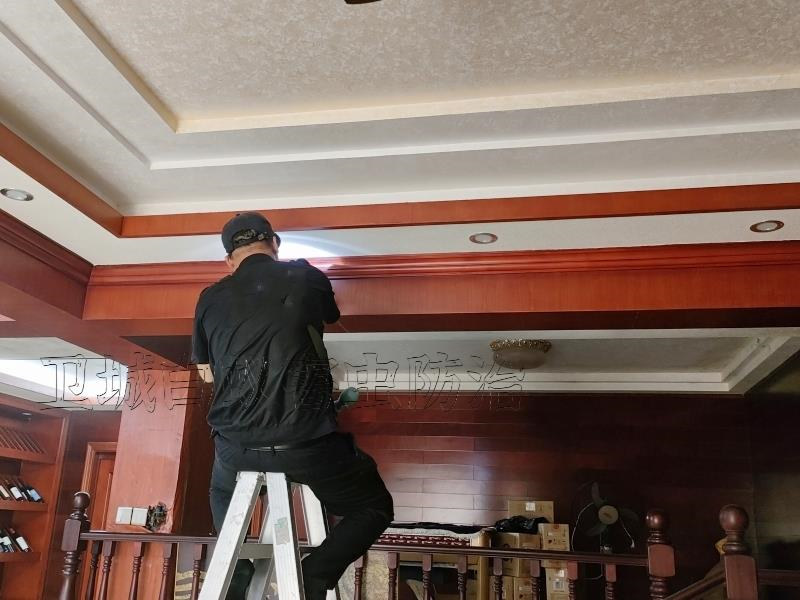 龙华白蚁防治中心,龙岗灭白蚁(卫城技术最牛)