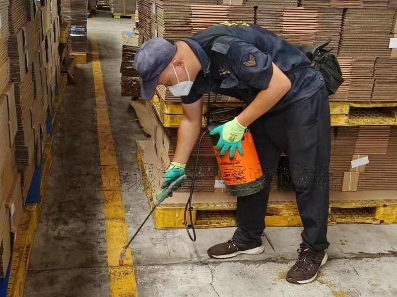 布吉白蚁防治中心,布吉灭白蚁(一对一全程服务)