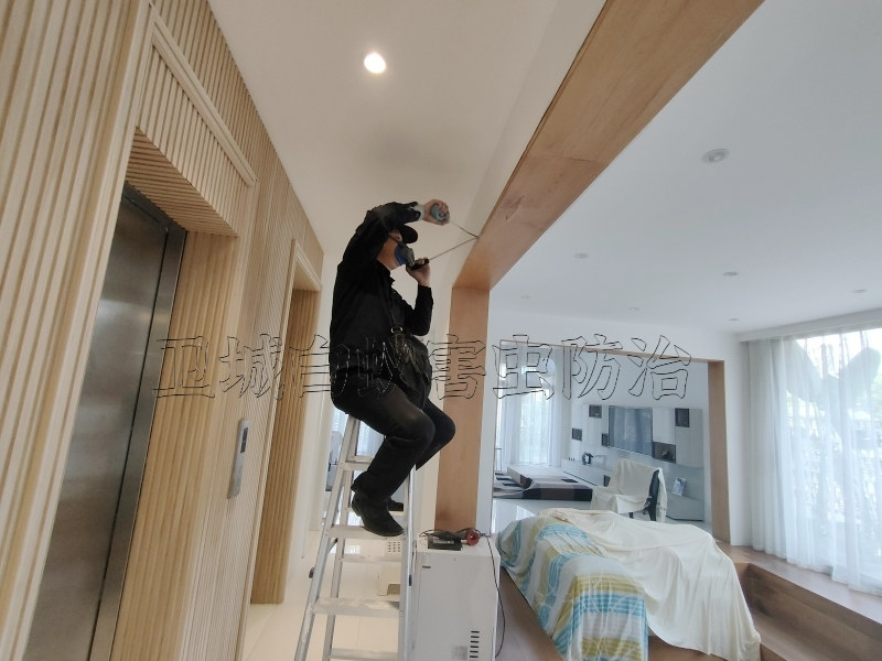 坂田白蚁防治公司,梅林灭白蚁【专业灭白蚁公司】