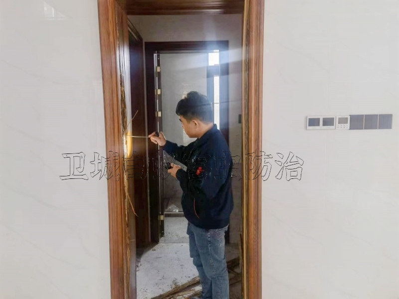 惠东白蚁防治,惠东灭白蚁公司